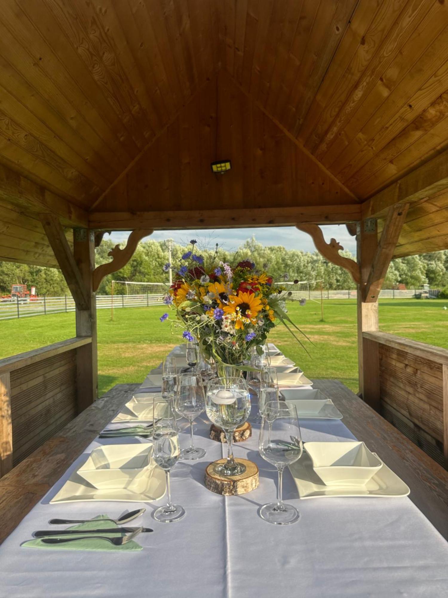 Baciary W Gorach Villa